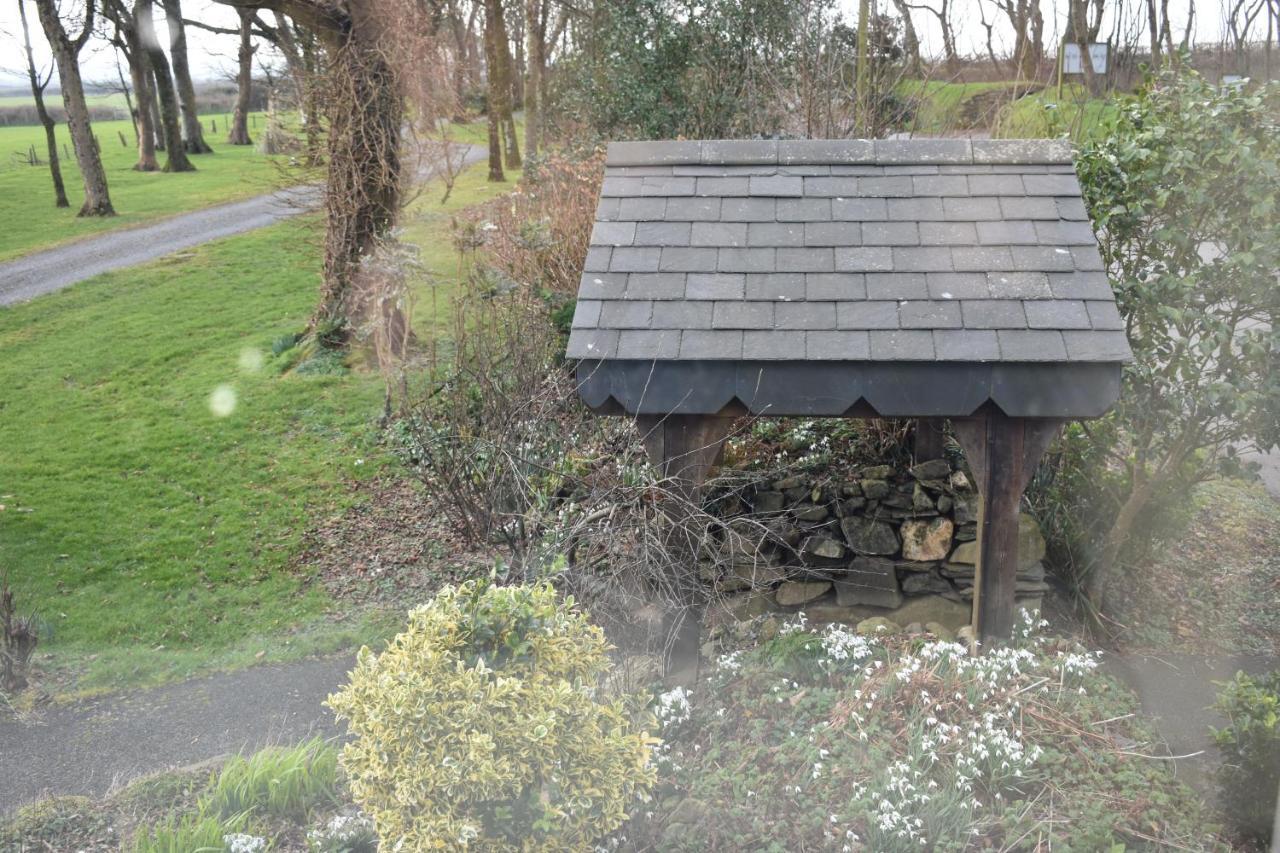 Crug Glas Country House St David's Zewnętrze zdjęcie