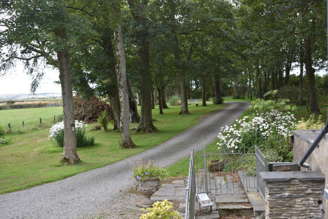 Crug Glas Country House St David's Zewnętrze zdjęcie